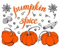 Hand drawn vector of Pumpkins and Lettering Royalty Free Stock Photo